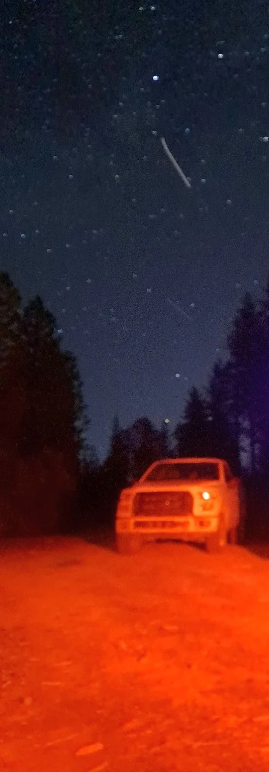 Truck on a forest road at night under stars, lit by red tail light.